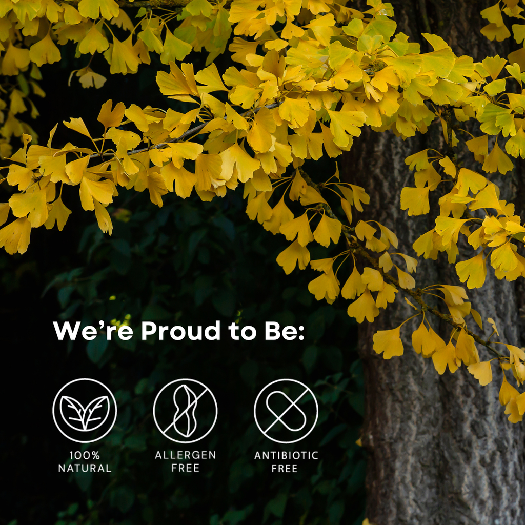 ENERGY: Ginseng + Ginkgo Supplement for Fatigue